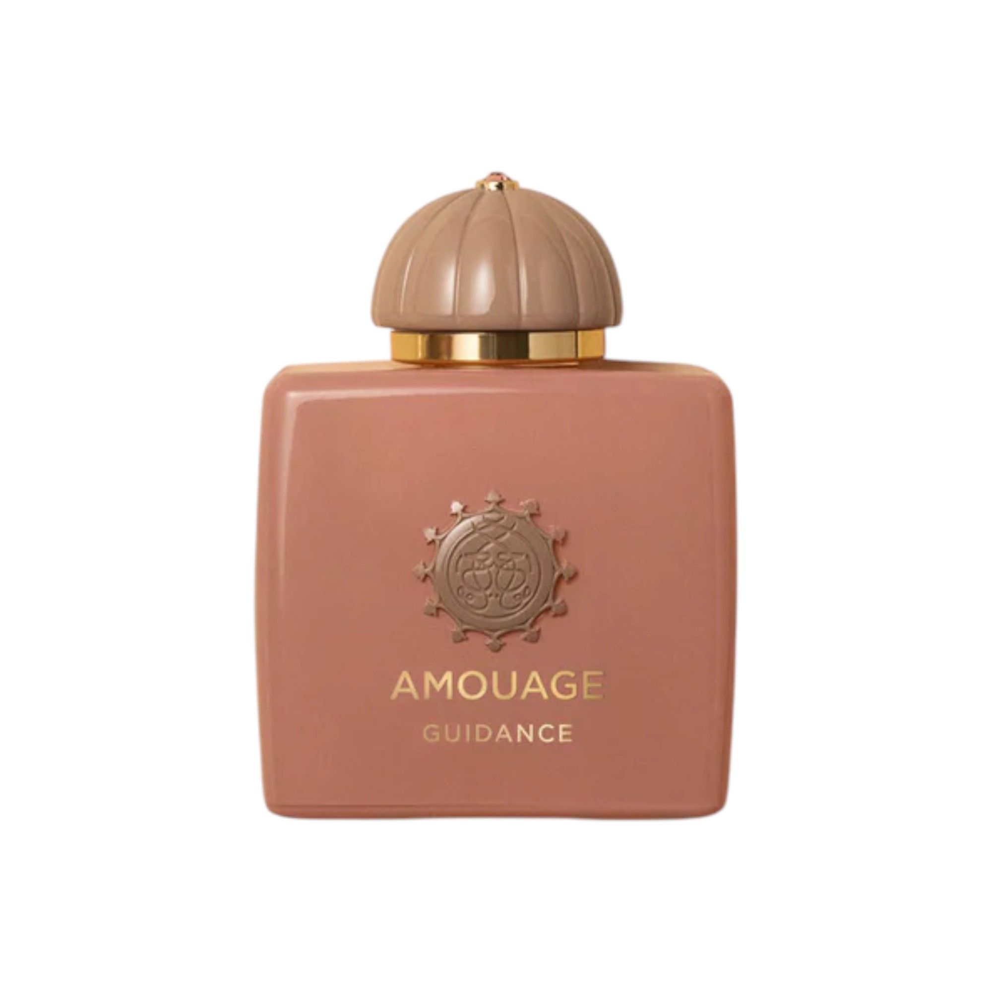 Amouage Guidance Eau de Parfum 100ml 410