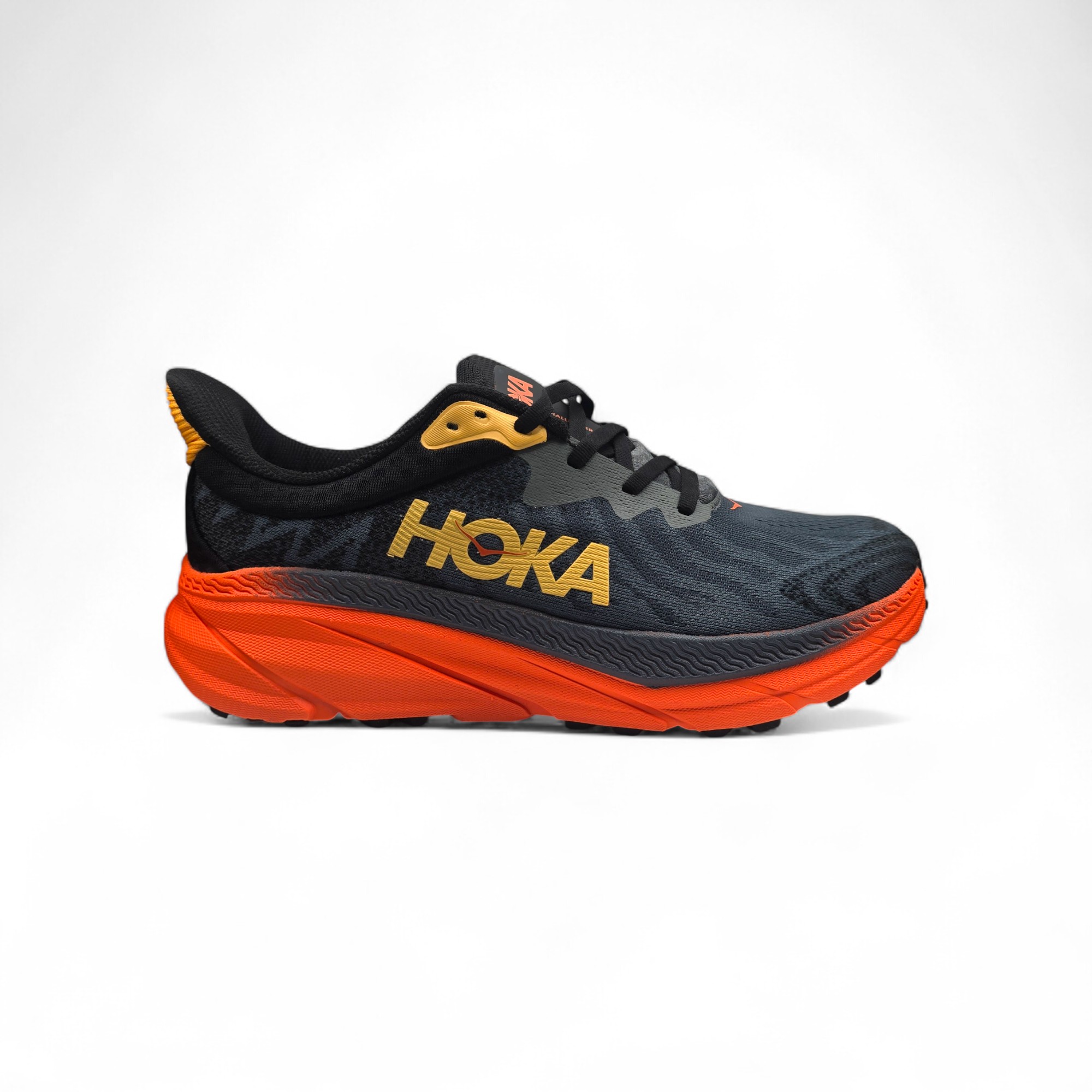 ATLETE PER MESHKUJ 1134499-CFLM         