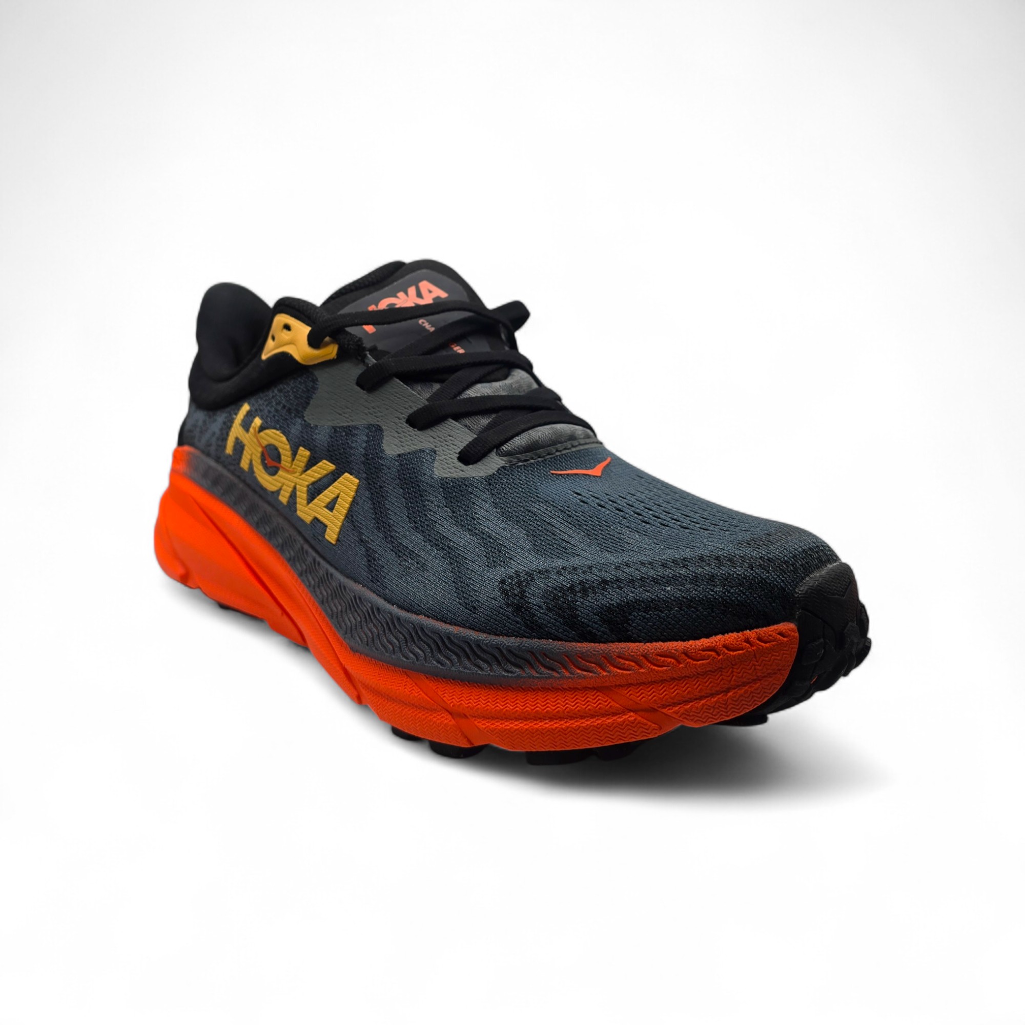 ATLETE PER MESHKUJ 1134499-CFLM         