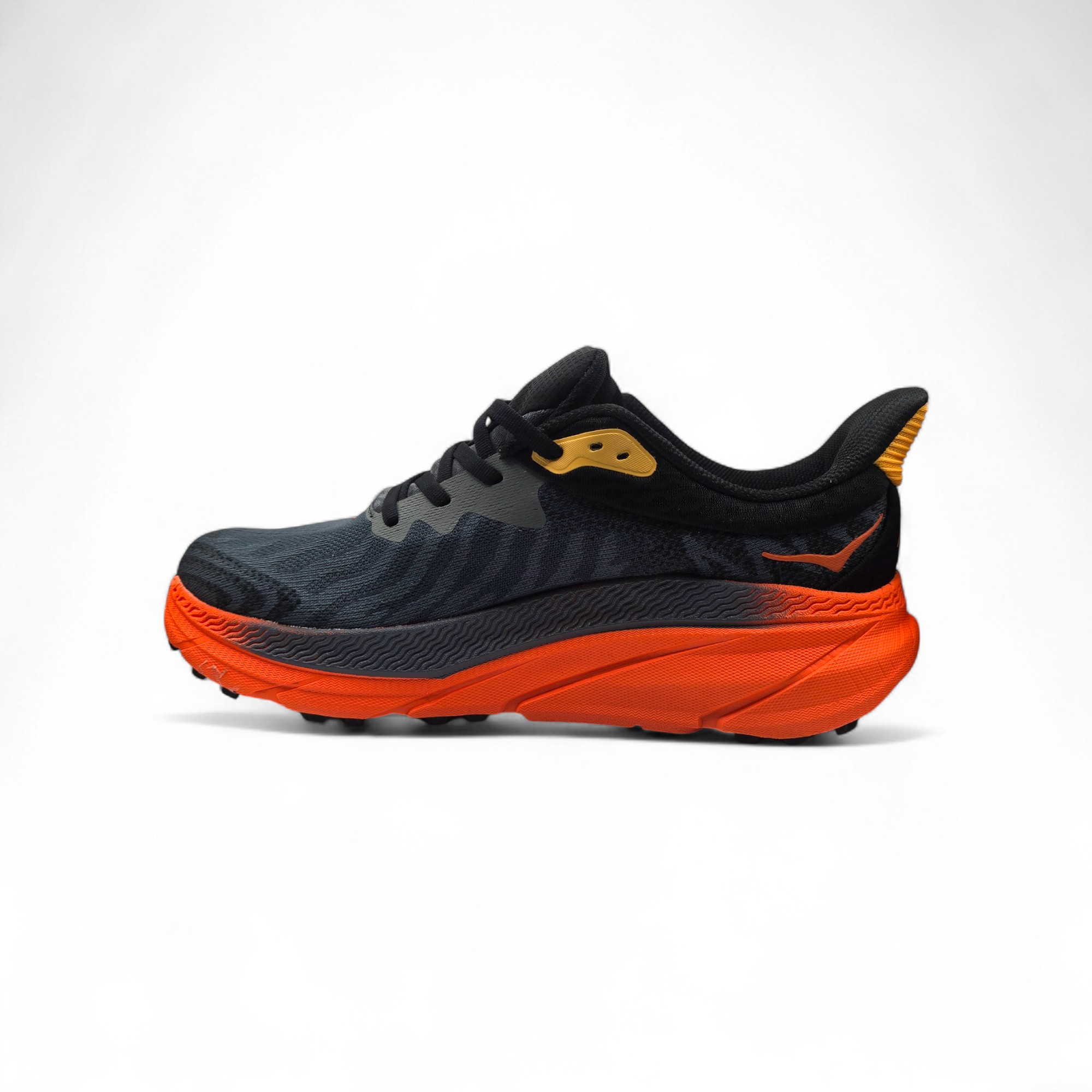 ATLETE PER MESHKUJ 1134499-CFLM         