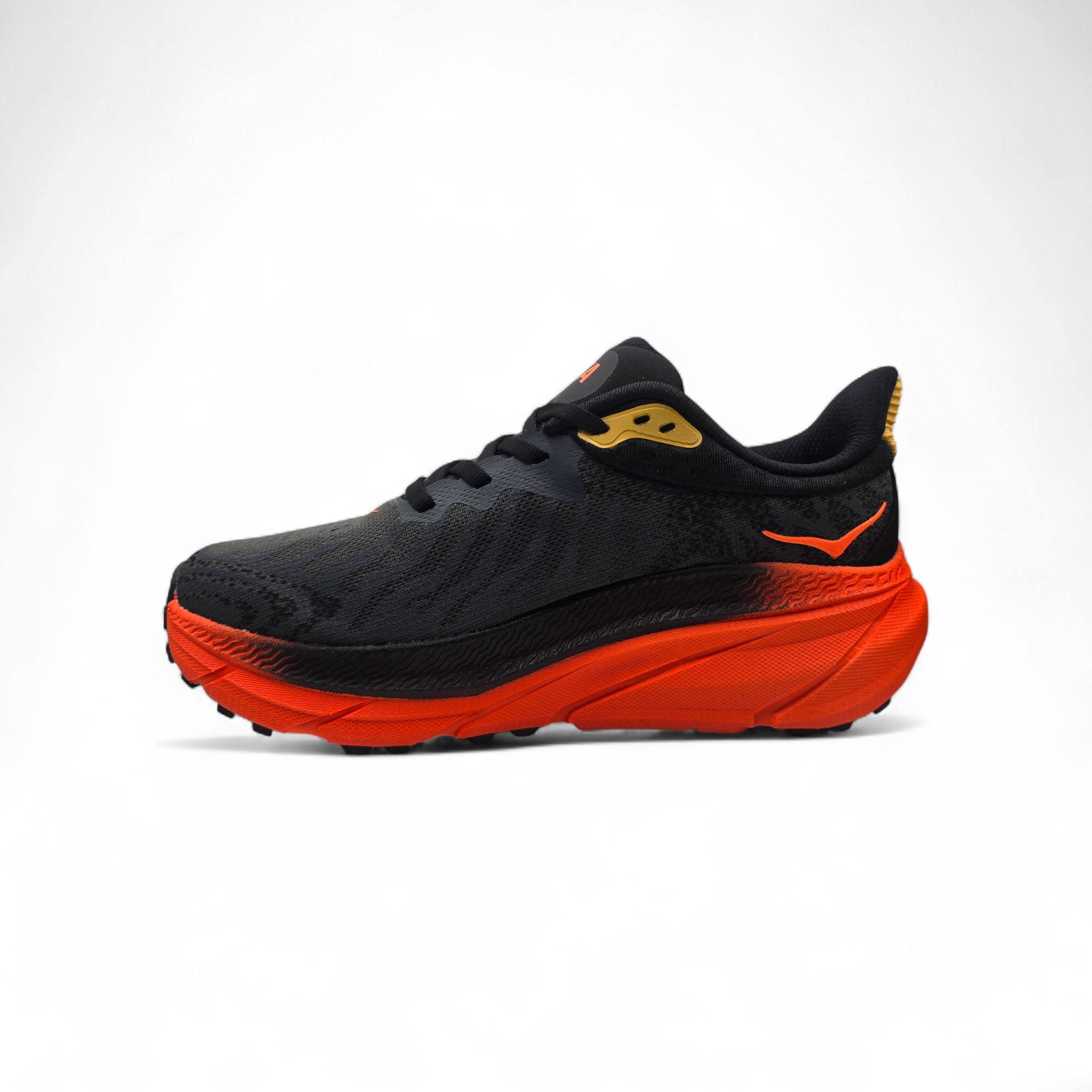 ATLETE PER FEMRA 1134497-CFLM           