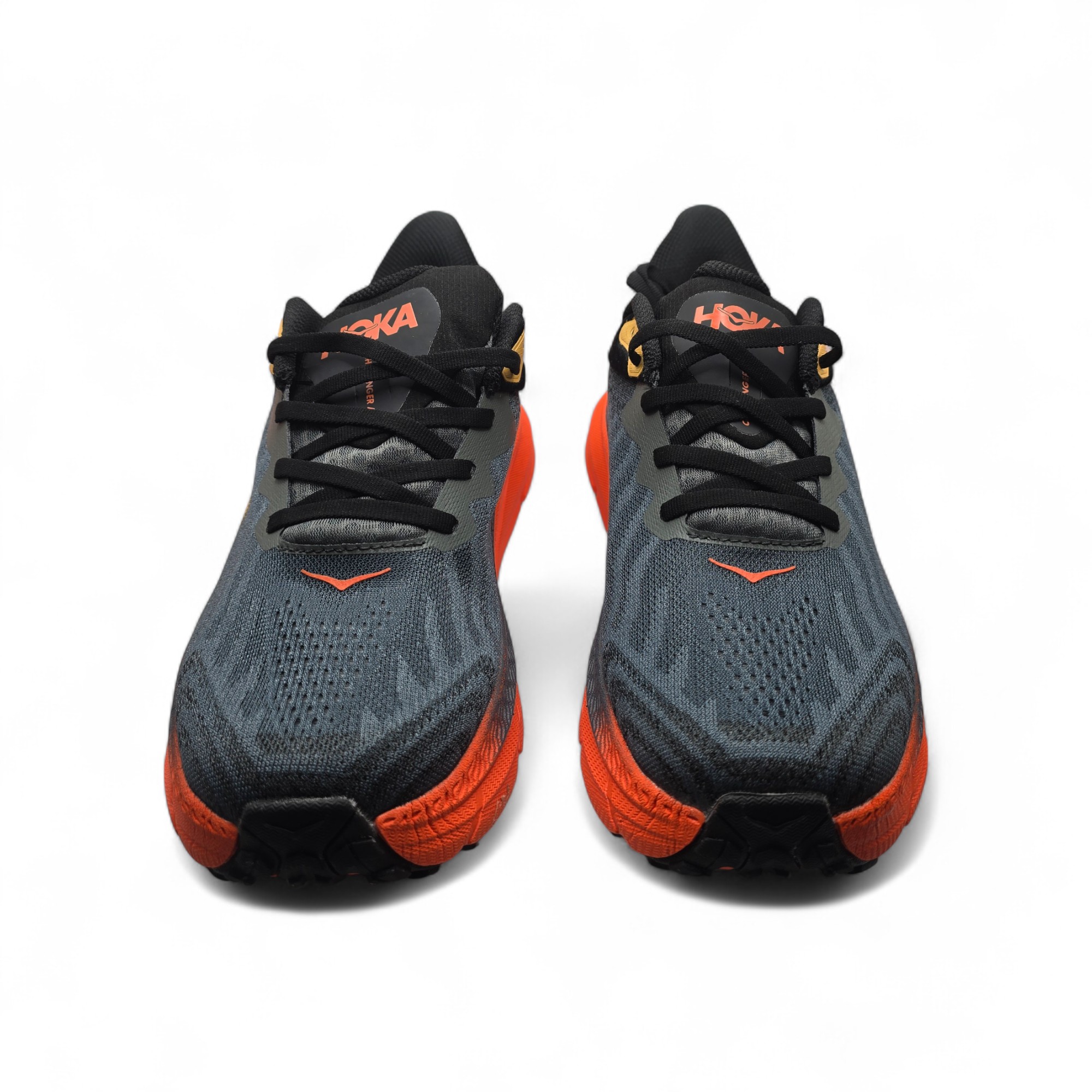 ATLETE PER MESHKUJ 1134499-CFLM         
